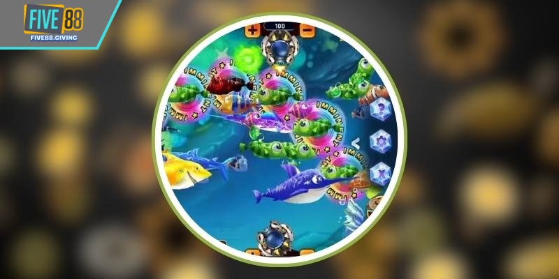 Đổi thưởng rõ ràng – Minh bạch như ánh sáng đại dương