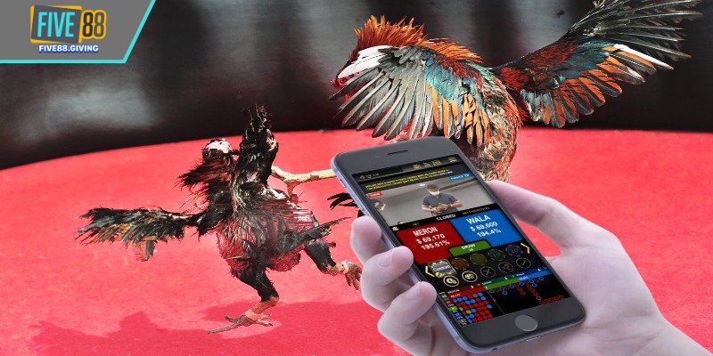 Không nên thay đổi lựa chọn trong 10 giây cuối