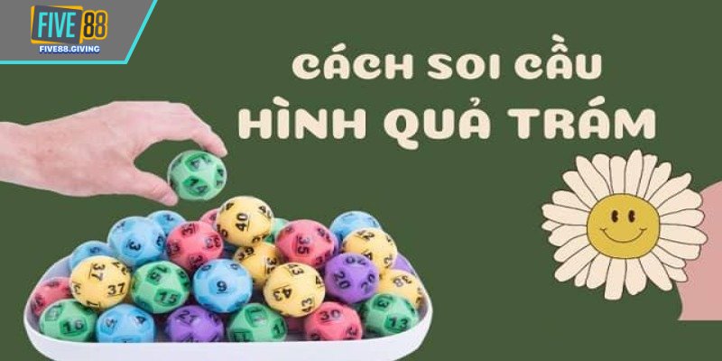 Thông tin cơ bản về soi cầu quả trám