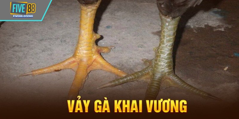 Tổng quan thông tin về vảy khai vương